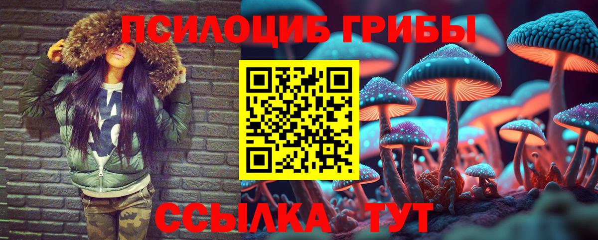 Зеленогорск  Галлюциногенные грибы прущие грибы  купить наркотик  Вход с VPN 